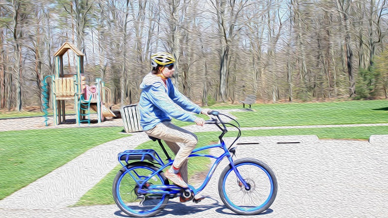 pedego helmets